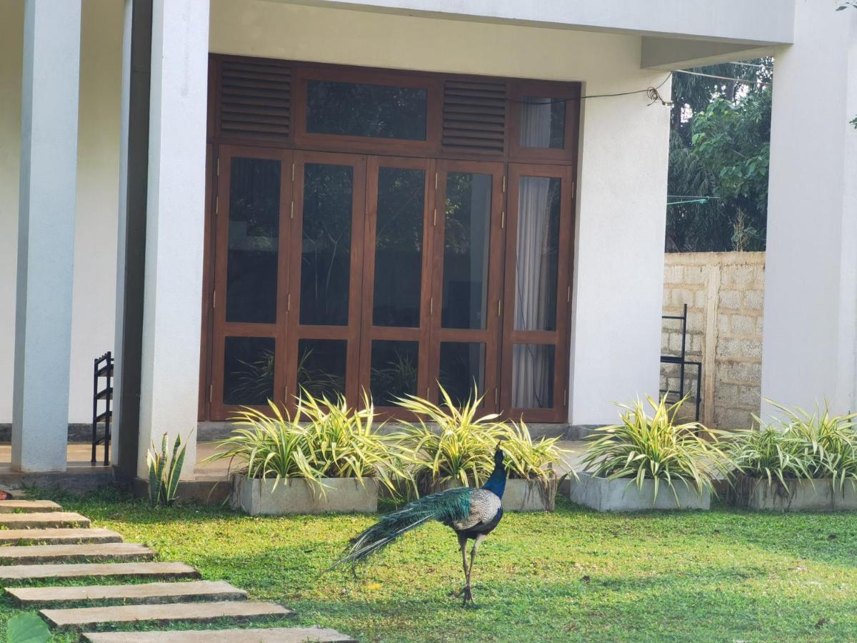 Ruwinsons Canal Garden Anuradhapura Zewnętrze zdjęcie