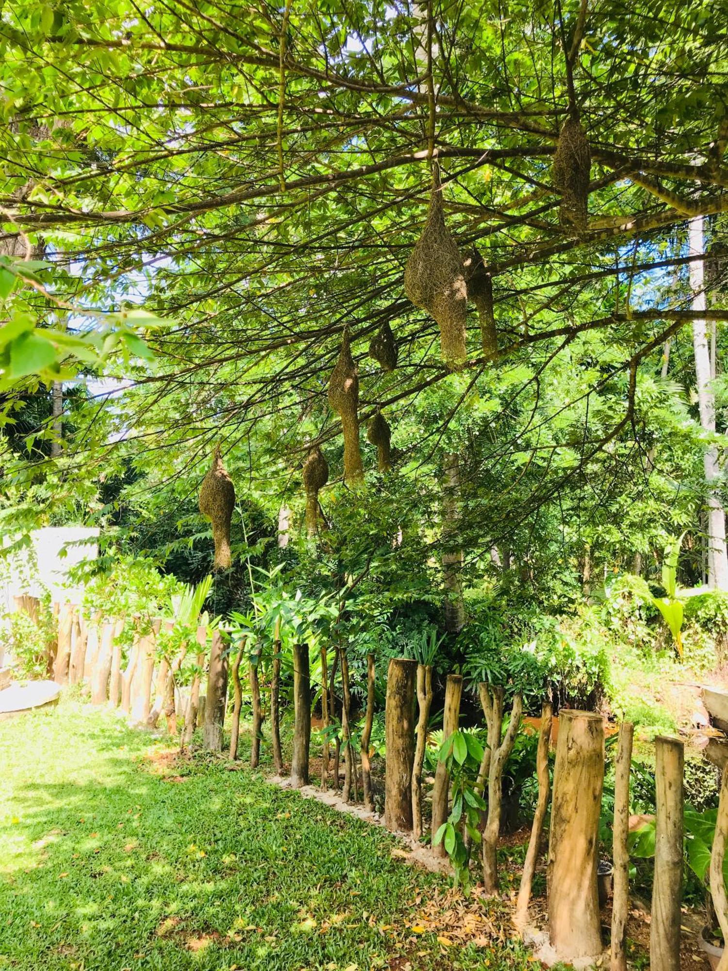 Ruwinsons Canal Garden Anuradhapura Zewnętrze zdjęcie
